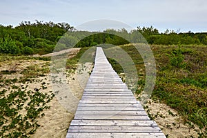 Wooden ecological trail made of weathered boards in the dunes. Direct path into the distance