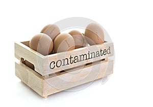 Wooden Egg Box full of Fipronil contaminated eggs photo
