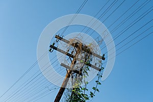 A wooden, electric pole by the railroad tracks