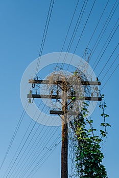 A wooden, electric pole by the railroad tracks