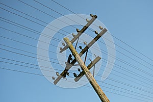 A wooden, electric pole by the railroad tracks