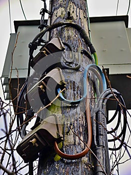 Wooden Electricity Pole