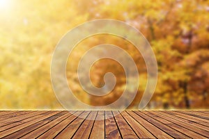 Wooden empty table plank on autumn