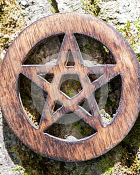 Wooden encircled pentagram symbol on fibrous tree bark. Five elements: Earth, Water, Air, Fire, Spirit.