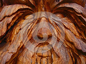 Wooden Face