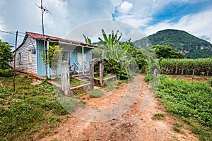 Wooden farmer house in village Vinales in Cuba.