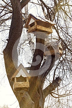 Wooden feeding troughs for birds