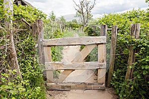 An wooden fence