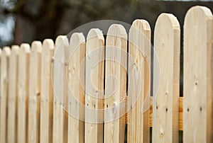 Wooden fence