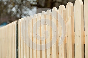 Wooden fence