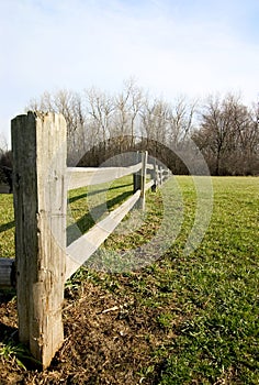 Wooden Fence