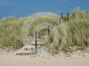 Wooden fence against a backdrop of seagrass and sand on a beach area near the ocean