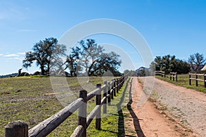 Wooden Fence Along Dirt Road Leading to Copse of Trees