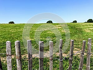 Wooden Fence Along The Fields with Tree Border