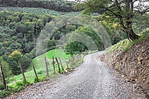 Wooden fence along a rural road in the mountains