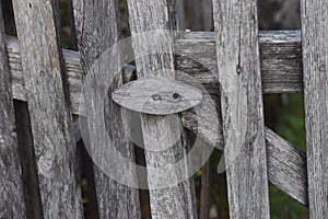 Wooden fence as demarcation to other land