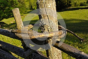 Wooden fence as demarcation to other land