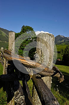 Wooden fence as demarcation to other land