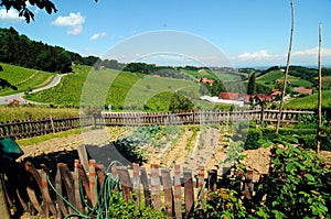 Wooden fence as demarcation to other land