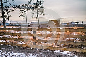 Wooden fence for a back yard and sun shine.