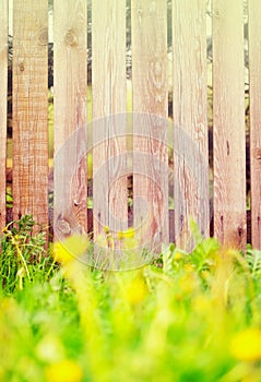 Wooden fence background with grass border