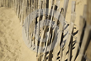 Wooden fence at the beach