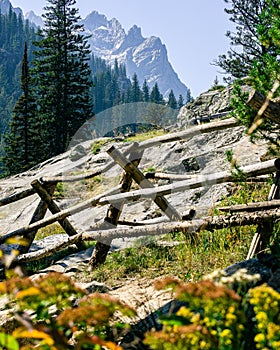 Wooden fence with beautiful trees and mountains background at Grand Teton National Park