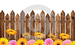 Wooden fence