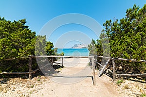 Wooden fence in Capo Coda Cavallo beach