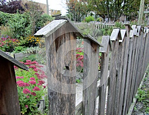 Wooden birdhouses garden trellis