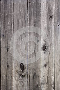 Wooden Fence Detail