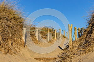 Wooden fence and dry grass on beach on clear blue sky. Entrance to beach. Sunny beautiful day on ocean coast.