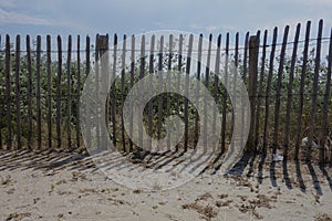 Wooden fence in the dunes of Blankenberge.