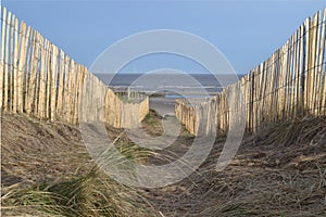 Wooden fence on dunes leading to beach