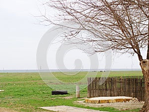 Wooden fence on the edge of village
