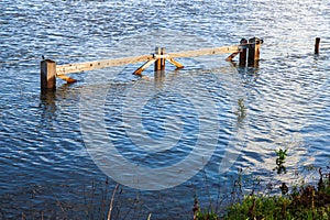 Wooden fence in the flooded floodplains of the Dutch river IJssel