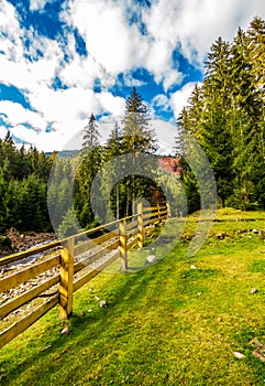 Wooden fence in forest camping place