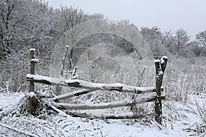 wooden fence on forest pasture in winter
