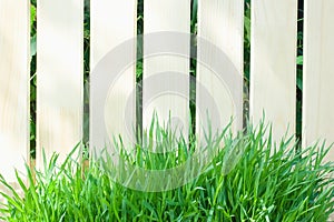 Wooden fence and fresh green grass