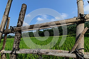 Wooden Fence With Grass Background