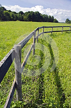 Wooden fence on grassland in summer farm