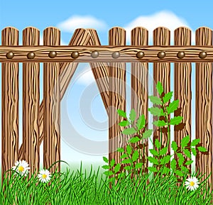 Wooden fence on green grass with daisy