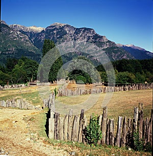 Wooden fence on green meadow in sunny day,Neuquen province Argentina, Lanin national park