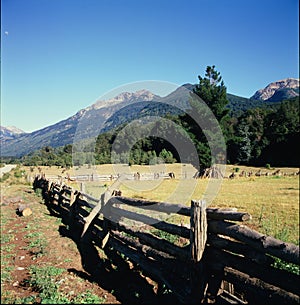 Wooden fence on green meadow in sunny day,Neuquen province Argentina, Lanin national park