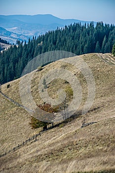 Wooden fence on a hill slope and dirt road