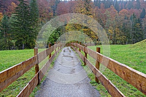 Wooden fence leading to an autumnal forest near Oberstdorf, Allgaeu