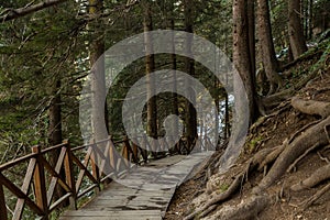 Wooden Fence Mountain Altindere Valley Park Turkey Trabzon