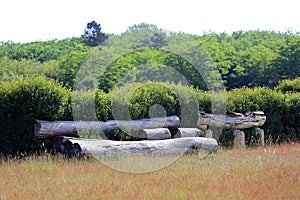 Wooden fence obstacle for an equestrian cross country event