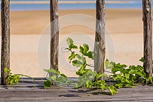 Wooden fence over looking paradise beach.