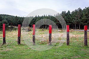 Wooden fence piles with red markings against cattle, Spain. photo